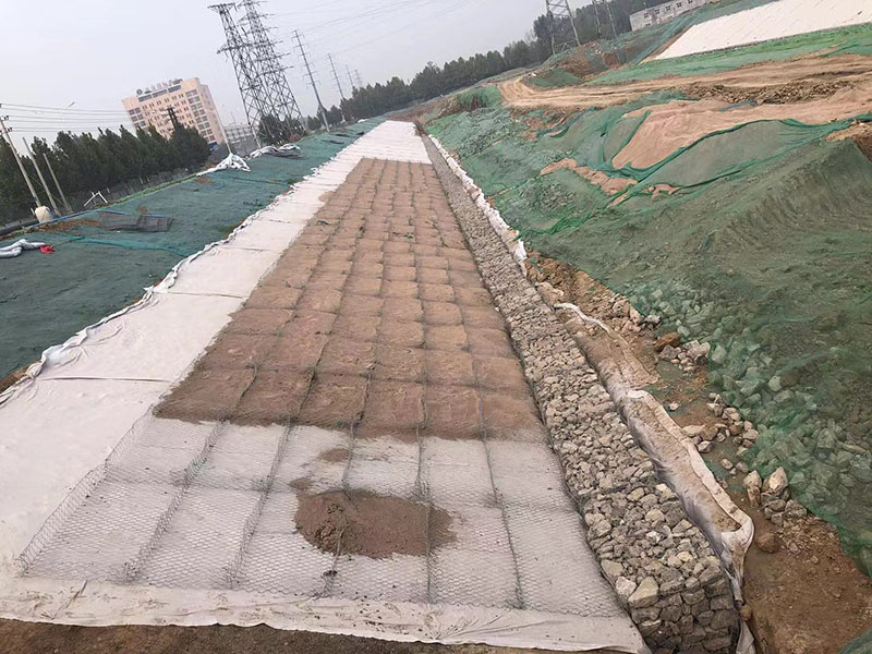 哈爾濱格賓